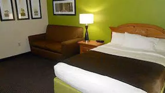 AmericInn Lodge and Suites of Manitowoc | Wisconsin - Sheboygan (ve civarı) - Manitowoc