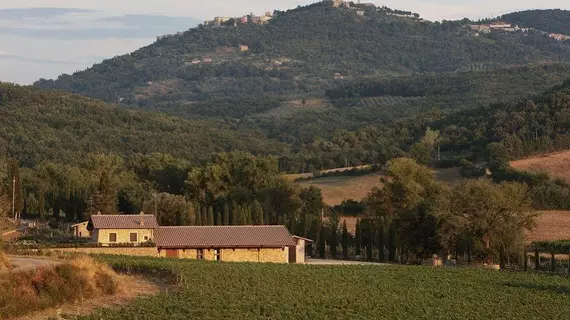 Agriturismo A. Bonacchi | Toskana - Siena (vilayet) - Montalcino