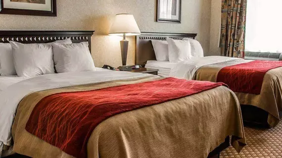 Quality Inn and Suites | Michigan - Detroit (ve civarı) - Waterford