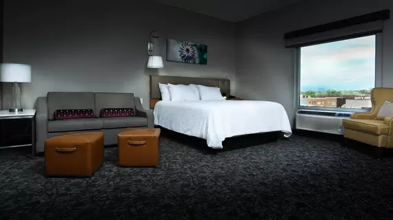 Hilton Garden Inn Denver/Arvada CO | Kolorado - Denver (ve civarı) - Arvada