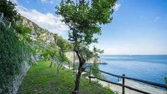 Cannaverde Amalfi Coast Camp | Campania - Salerno (il) - Maiori