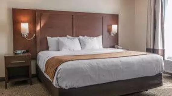 Comfort Suites Wixom / Novi | Michigan - Detroit (ve civarı) - Wixom