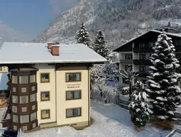 Appartementhaus Winkler | Salzburg (eyalet) - Sankt Johann im Pongau - Bad Hofgastein