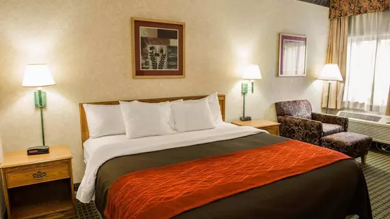 Baymont Inn and Suites Franklin | Indiana - Indianapolis (ve civarı) - Franklin