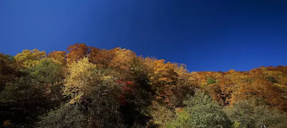 Miyama Ouan | Gifu (idari bölge) - Takayama