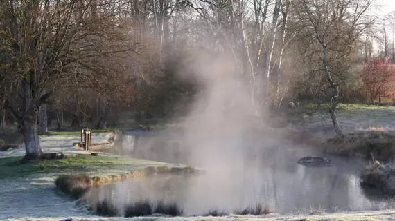 Domaine de la Roche Bellin | Centre - Loire Vadisi - Indre-et-Loire (bölge) - Descartes