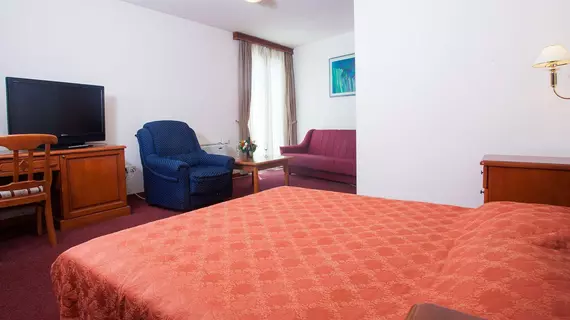 Hotel Dubrovnik | Dubrovnik-Neretva - Dubrovnik (ve civarı) - Dubrovnik - Lapad - Babin Kuk