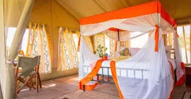 Kisura Serengeti Tented Camp | Serengeti Ulusal Parkı