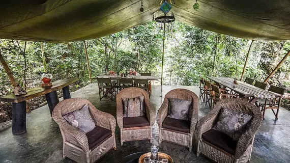 Ngare Sero Mountain Lodge | Arusha Bölgesi - Arusha