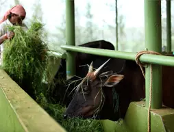 Harvest Fresh Farms | Kerala - Idukki Bölgesi - Thekkady