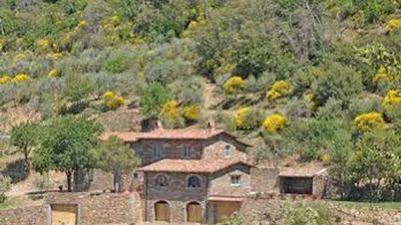 Villa Noceta | Toskana - Arezzo (vilayet) - Castiglion Fiorentino