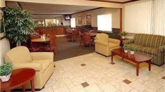 La Quinta Inn Indianapolis Airport Executive Drive | Indiana - Indianapolis (ve civarı) - Indianapolis