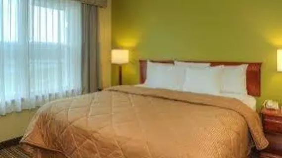 Comfort Inn & Suites Fayetteville | Arkansas - Bentonville - Fayetteville (ve civarı) - Fayetteville