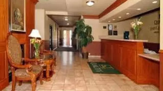 Quality Inn & Suites Albuquerque West | New Mexico - Albuquerque (ve civarı) - Albuquerque - Westside