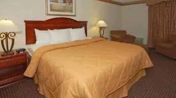 Comfort Inn Buckhead North | Georgia - Atlanta (ve civarı) - Atlanta - Sandy Springs