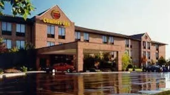 Comfort Inn of Livonia | Michigan - Detroit (ve civarı) - Livonia