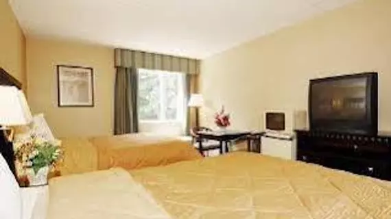 Comfort Inn Edison | New Jersey - Franklin Township - Somerset (ve civarı) - Edison