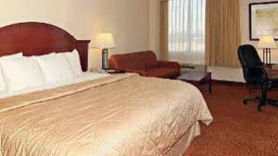 Comfort Inn Conference Center Bowie | Maryland - Annapolis (ve civarı) - Bowie