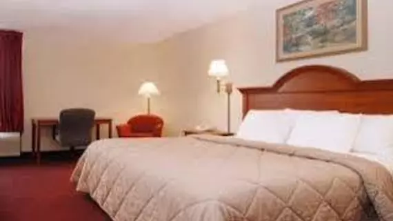 Comfort Inn Opryland Area | Tennessee - Nashville-Davidson - Nashville (ve civarı) - Nashville - Opryland - Donelson