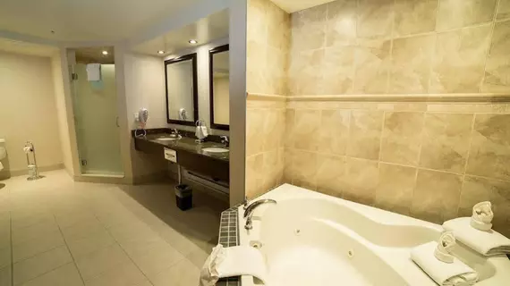 Holiday Inn Hotel & Suites-West Edmonton | Alberta - Edmonton (ve civarı) - Edmonton - Kuzeybatı Edmonton