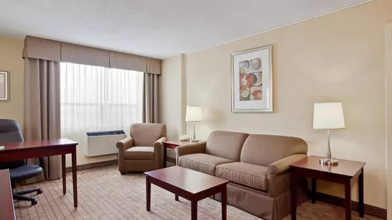 Holiday Inn & Suites Winnipeg Downtown | Manitoba - Winnipeg (ve civarı) - Winnipeg - Winnipeg Şehir Merkezi