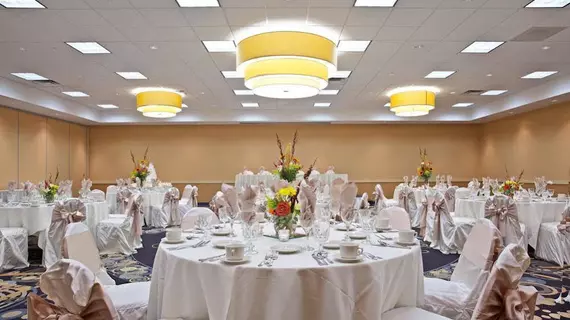 Holiday Inn Chicago - Elk Grove | İllinois - Elk Grove Village