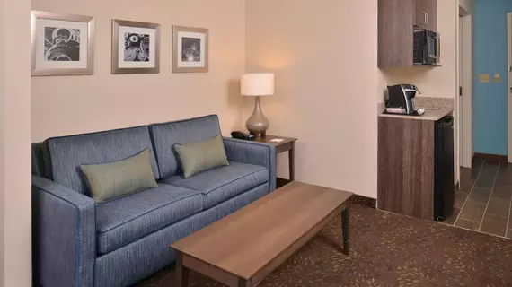 HOLIDAY INN EXPRESS & SUITES DEARBORN SW - DETROIT AREA | Michigan - Detroit (ve civarı) - Dearborn