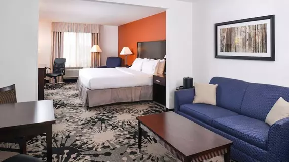 Holiday Inn Express & Suites Greenfield | Indiana - Indianapolis (ve civarı) - Greenfield