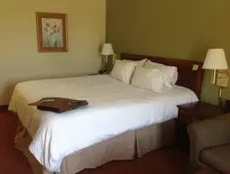 Hampton Inn Covington/Mandeville | Louisiana - Hammond (ve civarı) - Covington