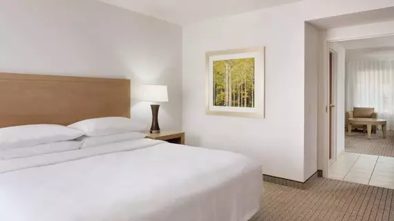 Embassy Suites Denver - International Airport | Kolorado - Denver (ve civarı) - Denver