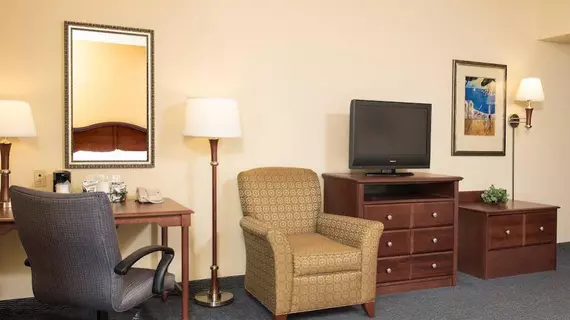 Hampton Inn & Suites Indianapolis-Airport | Indiana - Indianapolis (ve civarı) - Indianapolis