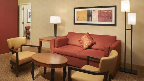 Courtyard by Marriott Chicago Naperville | İllinois - Naperville