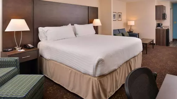 HOLIDAY INN EXPRESS & SUITES DEARBORN SW - DETROIT AREA | Michigan - Detroit (ve civarı) - Dearborn