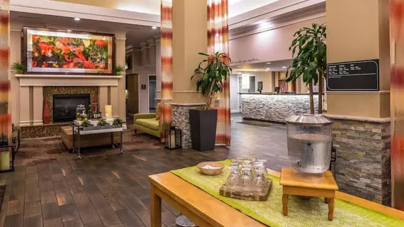 Hilton Garden Inn Detroit Southfield | Michigan - Detroit (ve civarı) - Southfield