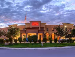 Hampton Inn & Suites Boise-Meridian | Idaho - Boise (ve civarı) - Meridian