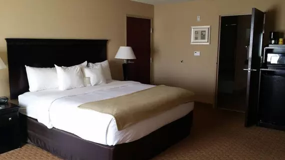 Holiday Inn Express Mobile West - I-65 | Alabama - Mobile (ve civarı) - Mobile