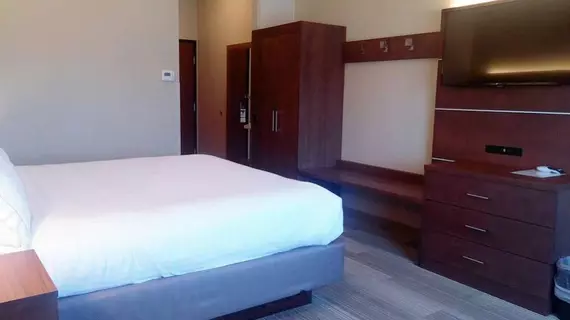 Holiday Inn Express Hotel & Suites Miami | Oklahoma - Vinita (ve civarı) - Miami