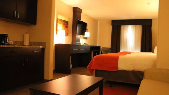 Holiday Inn Express & Suites Glasgow | Kentucky - Bowling Green (ve civarı) - Glasgow