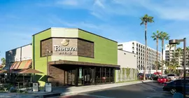 Fairfield Inn by Marriott Anaheim Resort | Kaliforniya - Orange County - Anaheim - Anaheim Resort