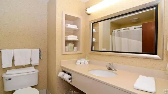 Holiday Inn Express Hotel & Suites Fort Atkinson | Wisconsin - Fort Atkinson (ve civarı) - Fort Atkinson