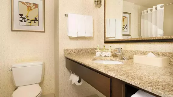 Holiday Inn Express Hotel & Suites Alexandria - Fort Belvoir | Virginia - İskenderiye - Belle Haven