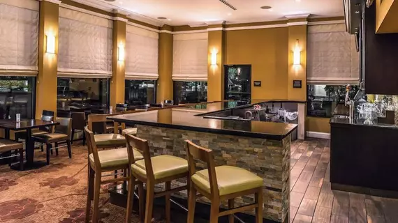 Hilton Garden Inn Detroit Southfield | Michigan - Detroit (ve civarı) - Southfield