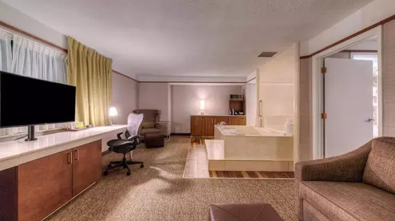 Hilton Garden Inn Detroit Southfield | Michigan - Detroit (ve civarı) - Southfield