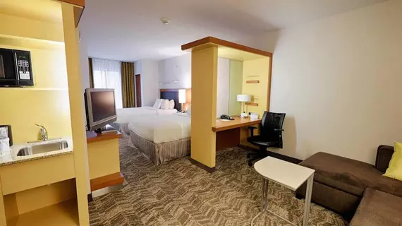 SpringHill Suites Albany-Colonie | New York - Albany (ve civarı) - Albany