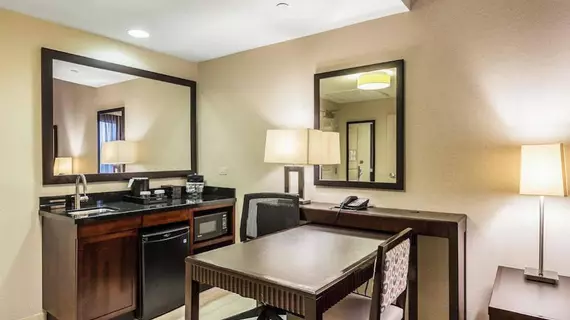 Embassy Suites - Newark Airport | New Jersey - Newark (ve civarı) - Elizabeth