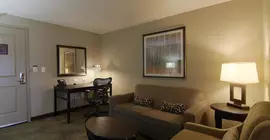 Hilton Garden Inn Toronto/Brampton | Ontario - Toronto (ve civarı) - Brampton