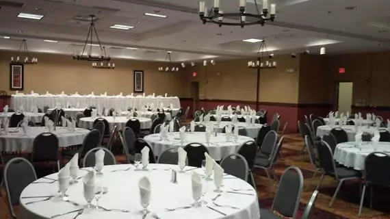 Holiday Inn Hotel & Suites Owatonna | Minnesota - Owatonna (ve civarı) - Owatonna