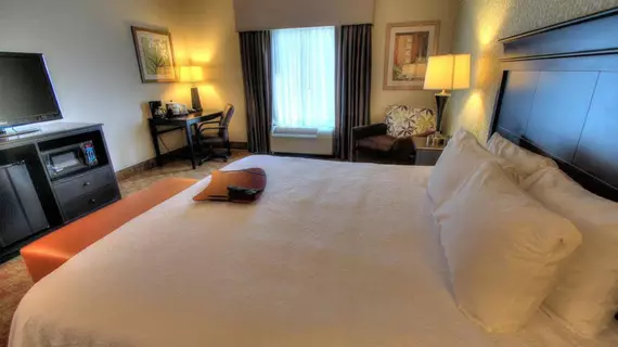 HAMPTON INN PIGEON FORGE | Tennessee - Gatlinburg - Pigeon Forge (ve civarı) - Pigeon Forge