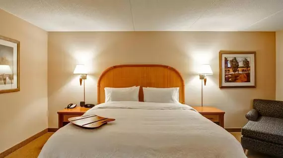 Hampton Inn & Suites Guelph | Ontario - Kitchener (ve civarı) - Guelph