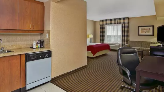 Holiday Inn Express Newmarket | Ontario - Toronto (ve civarı) - Newmarket